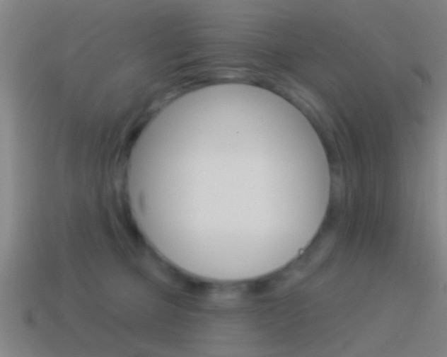 X0000114510373200910190934
