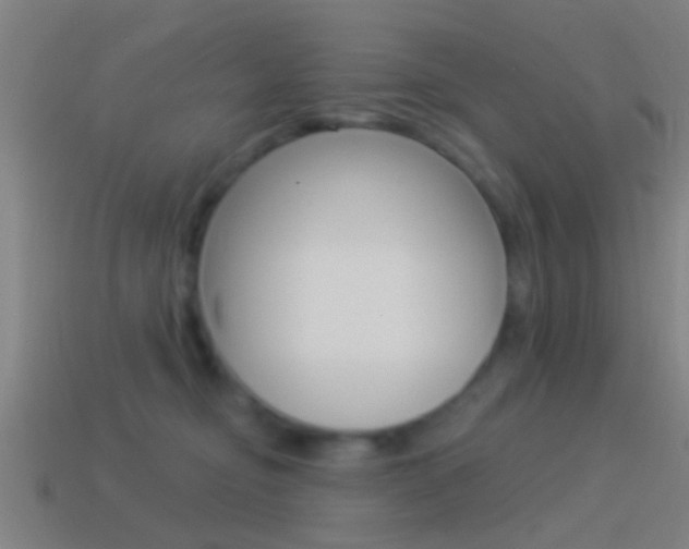 X0000114510374200910190934