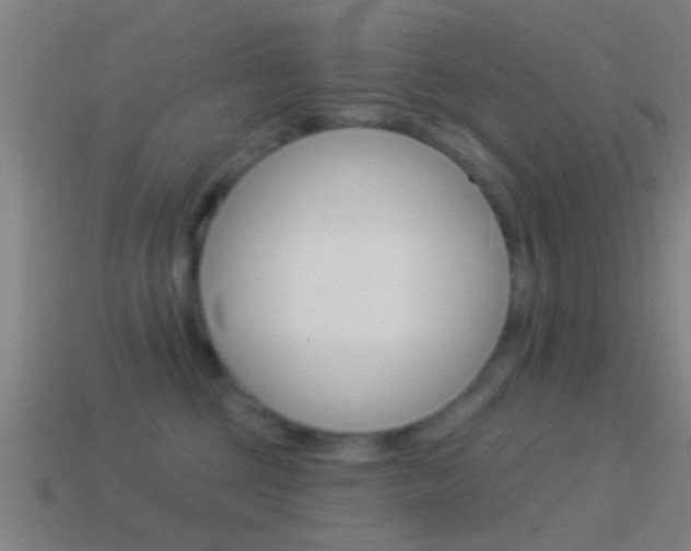 X0000114510377200910190934