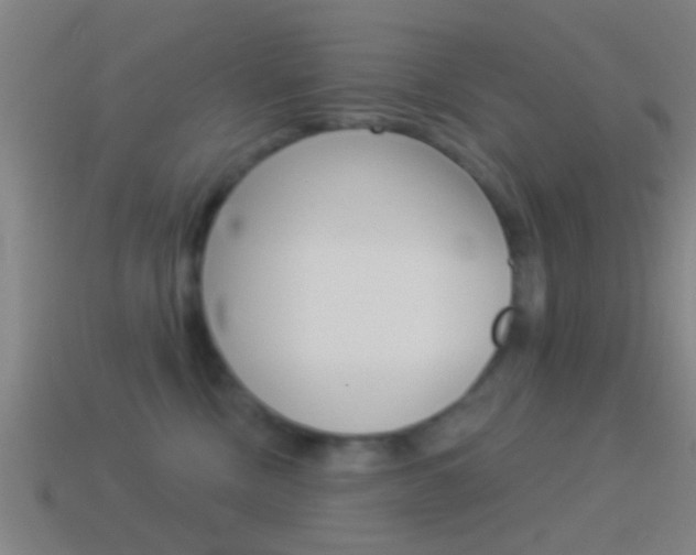 X0000114510378200910190934
