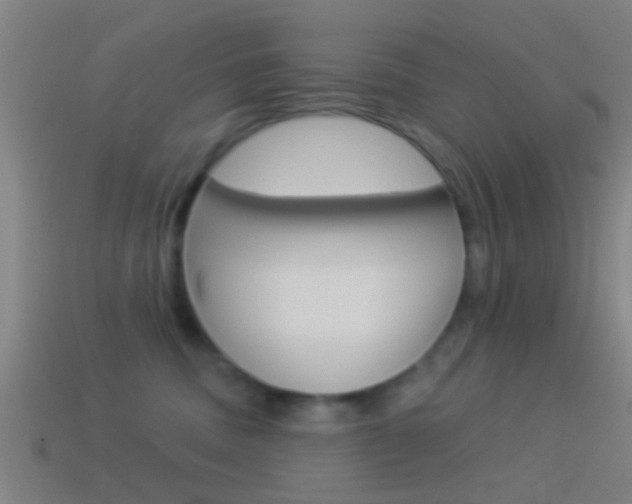 X0000114510379200910190934