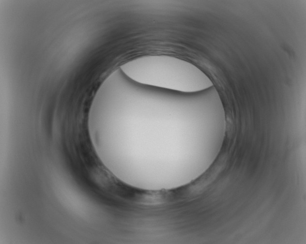 X0000114510381200910190934