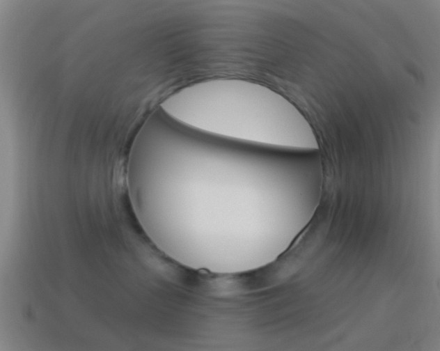 X0000114510383200910190934