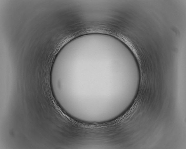 X0000114510385200910190933