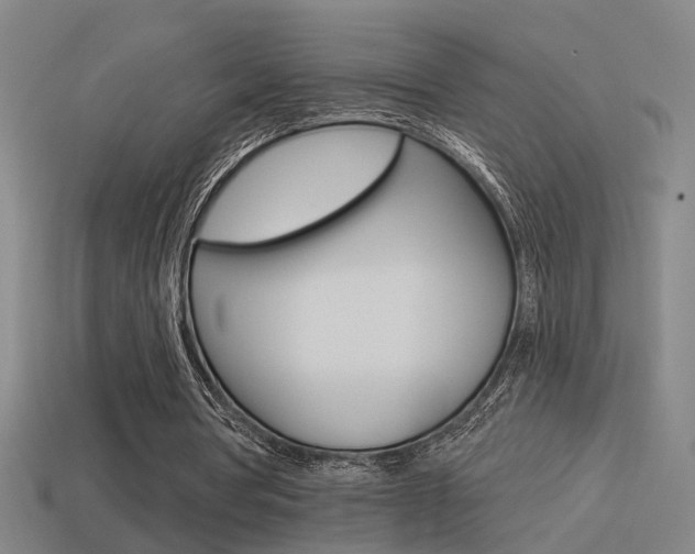 X0000114510386200910190933