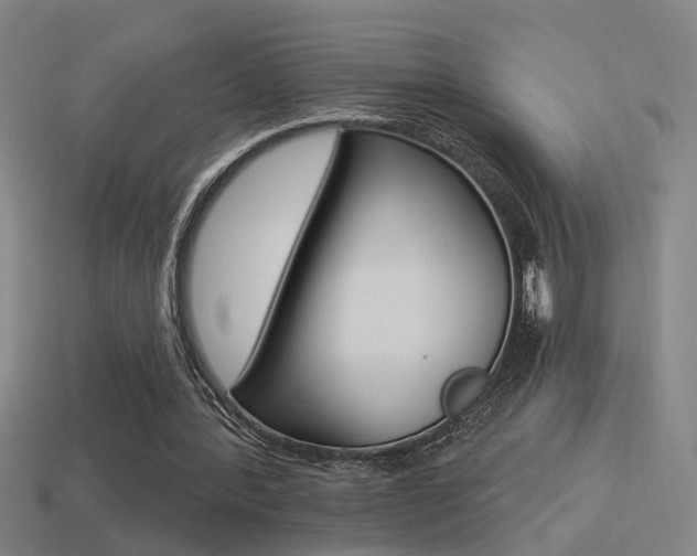 X0000114510388200910190933