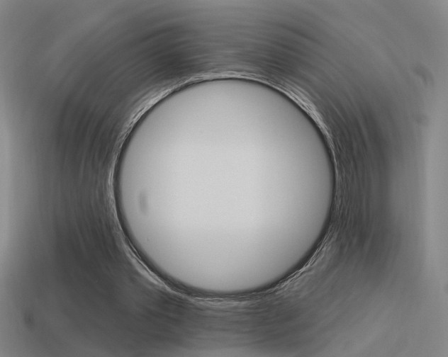 X0000114510389200910190933