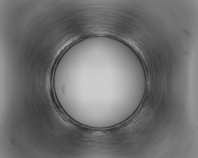 X0000114510390200910190933