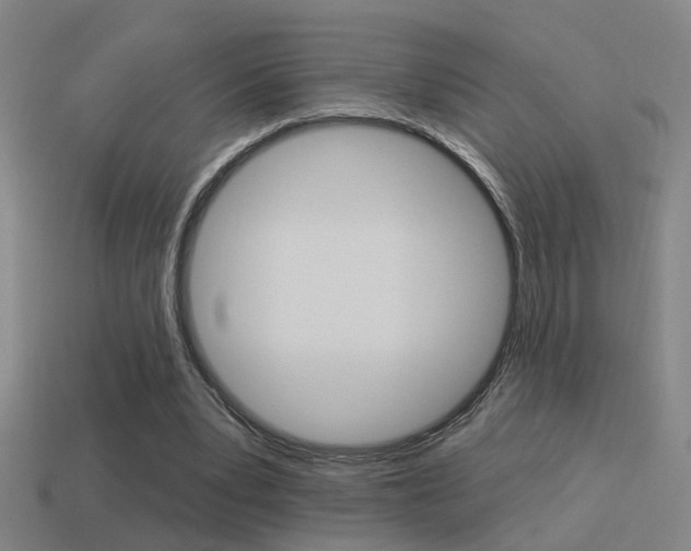X0000114510391200910190933