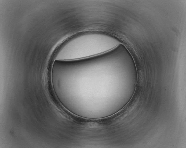 X0000114510392200910190933