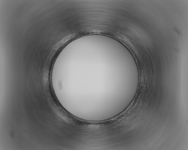 X0000114510394200910190933