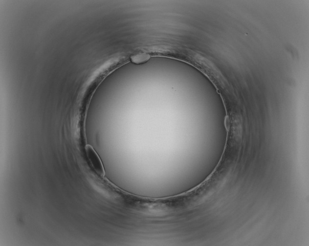 X0000114510395200910190933
