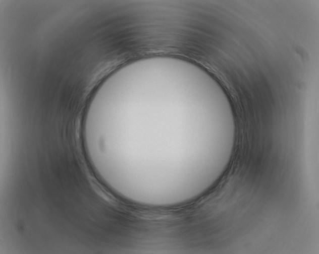 X0000114510397200910190933