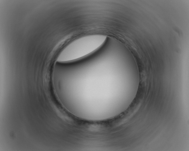 X0000114510400200910190933