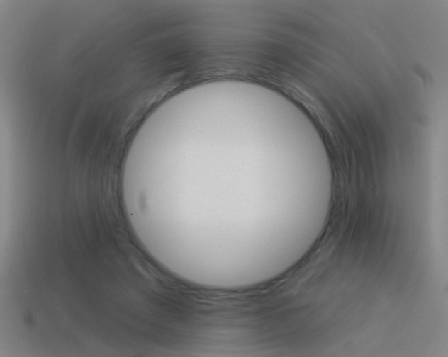X0000114510401200910190933