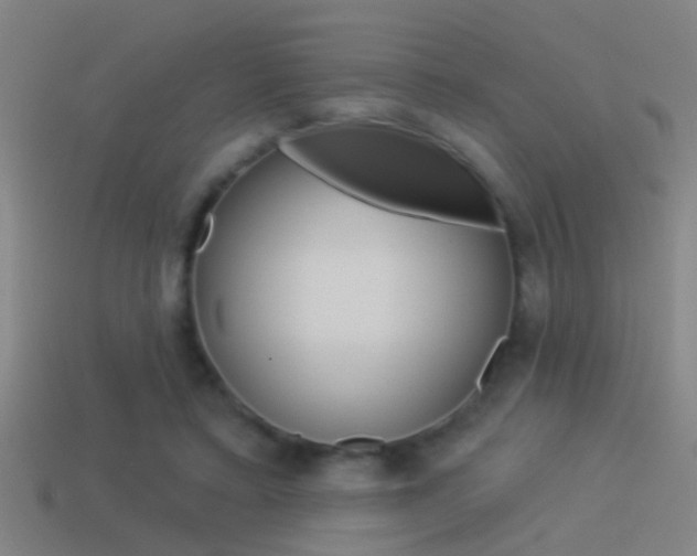 X0000114510403200910190933