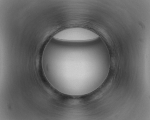 X0000114510404200910190933