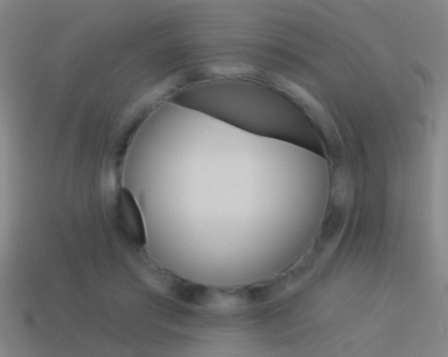 X0000114510405200910190933