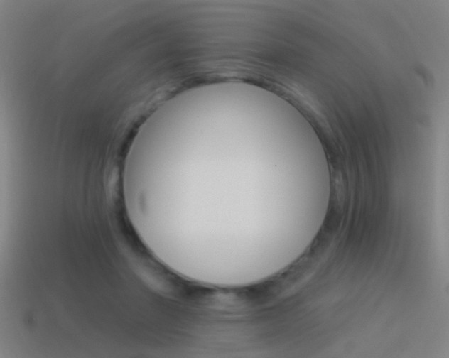 X0000114510406200910190933