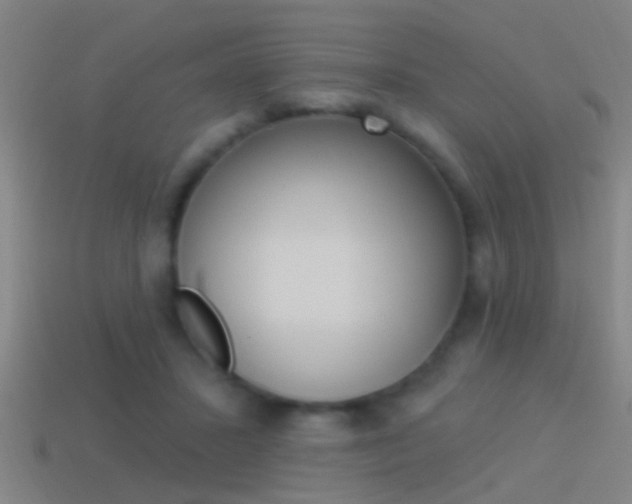 X0000114510407200910190933