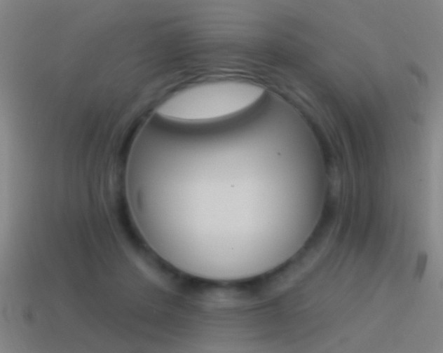 X0000114510408200910190933