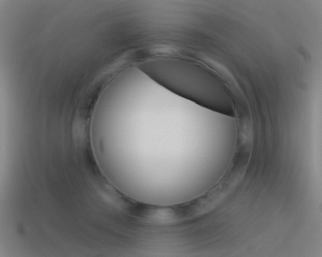 X0000114510409200910190933
