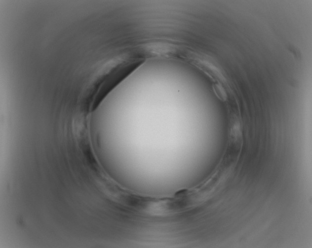 X0000114510411200910190933