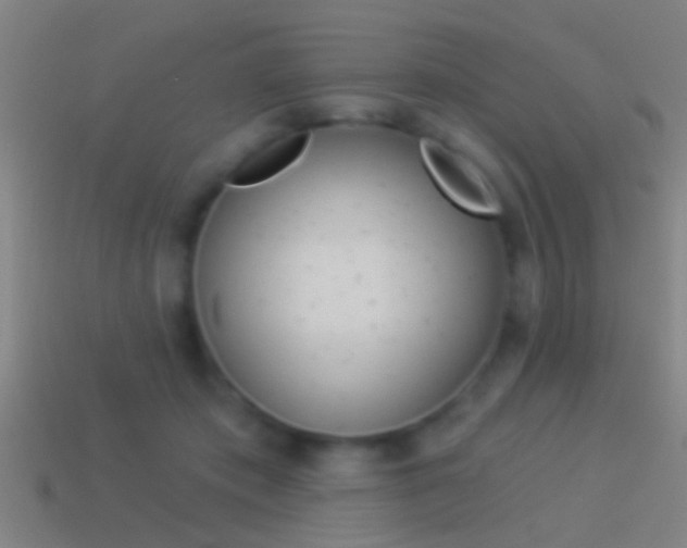 X0000114510413200910190933