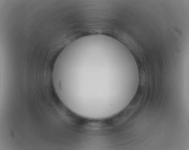 X0000114510414200910190933