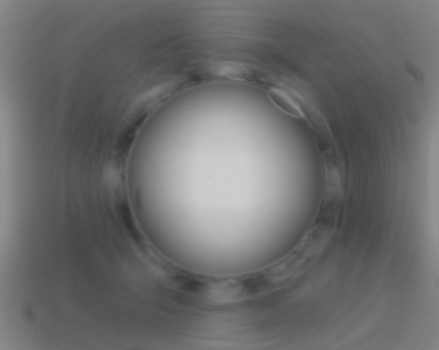 X0000114510415200910190933