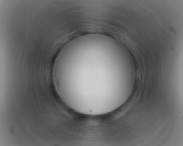 X0000114510416200910190933
