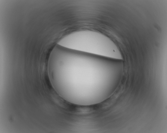 X0000114510417200910190933