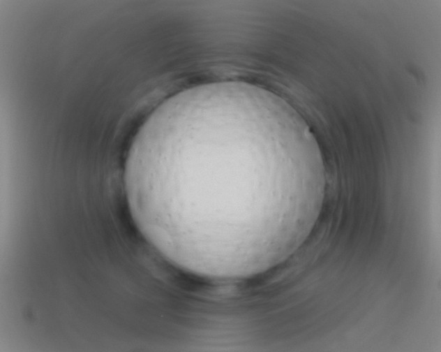 X0000114510418200910190933