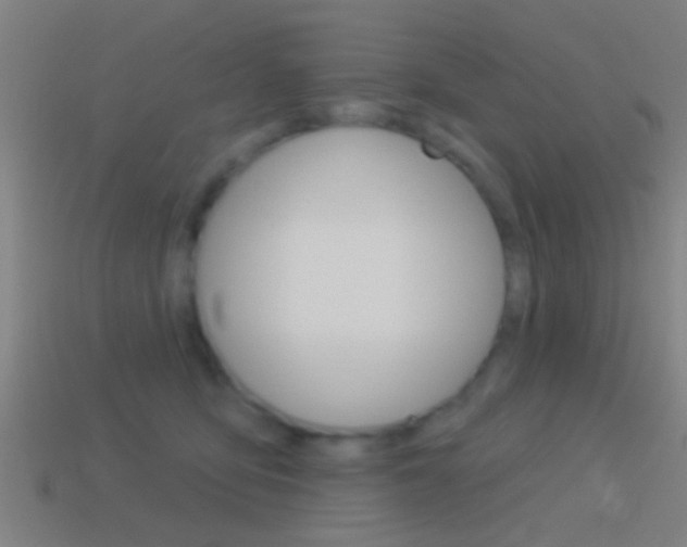 X0000114510419200910190933