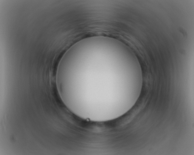 X0000114510420200910190933