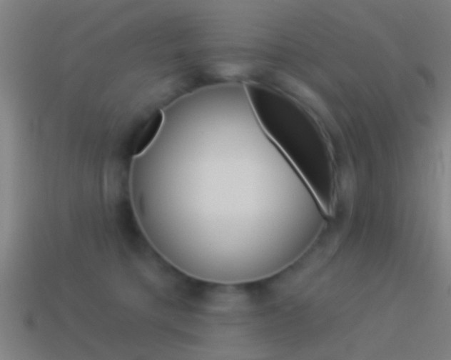 X0000114510421200910190933