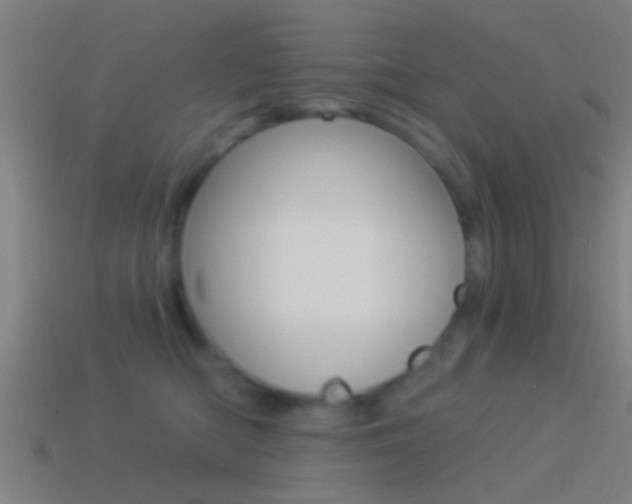 X0000114510422200910190933