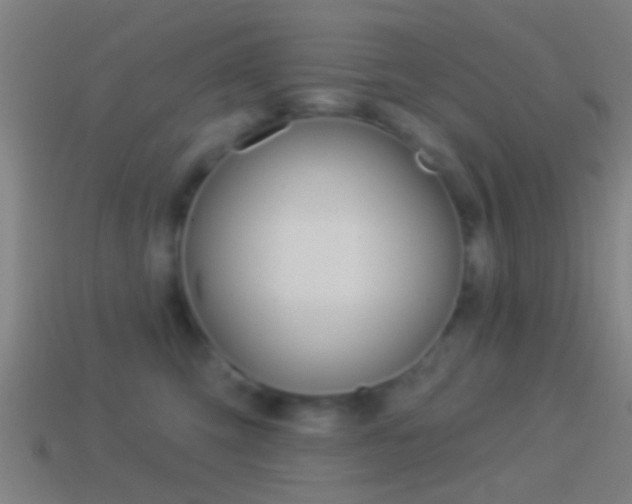 X0000114510423200910190933