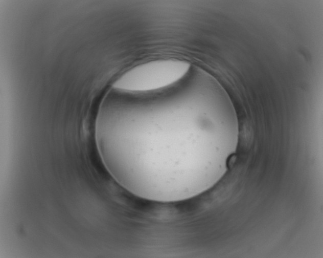 X0000114510424200910190933