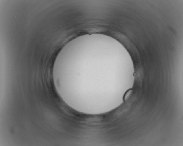 X0000114510426200910190933
