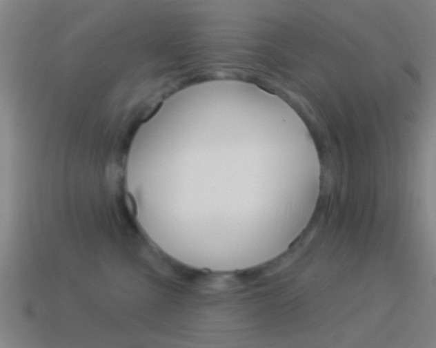 X0000114510427200910190933