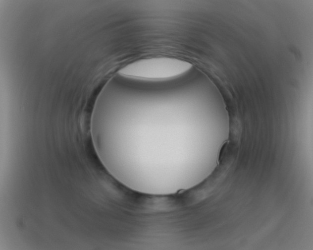 X0000114510428200910190933