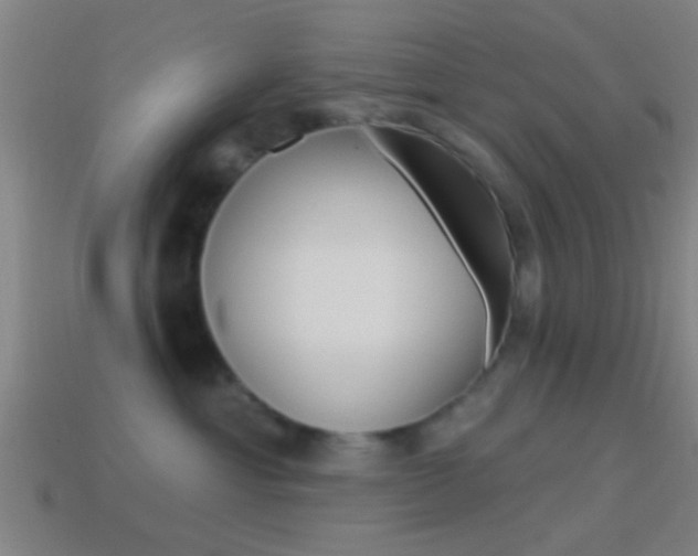 X0000114510429200910190933
