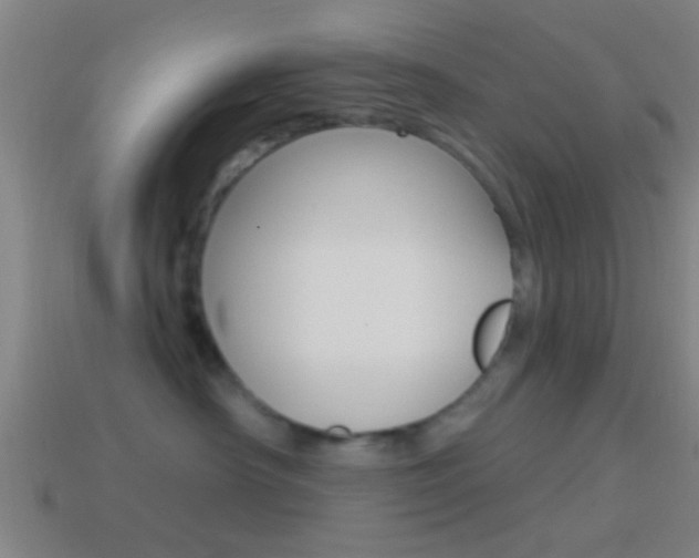 X0000114510430200910190933