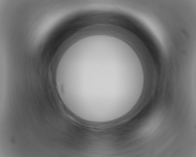 X0000114510431200910190933