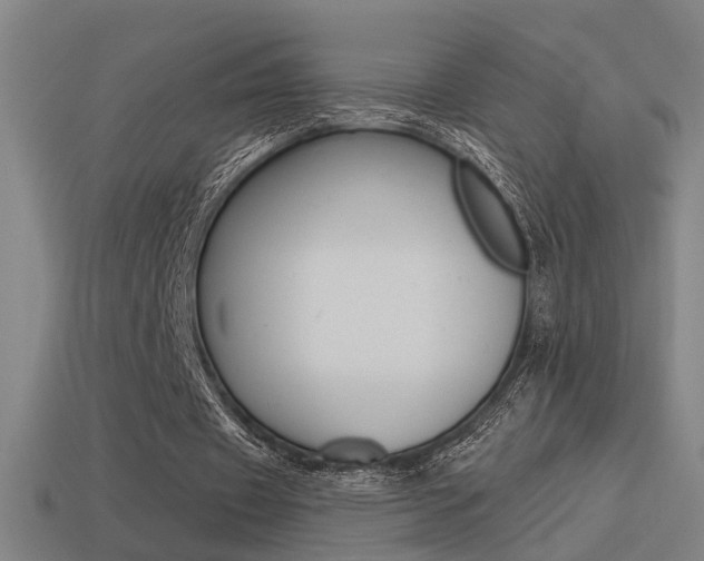 X0000114510433200910190932