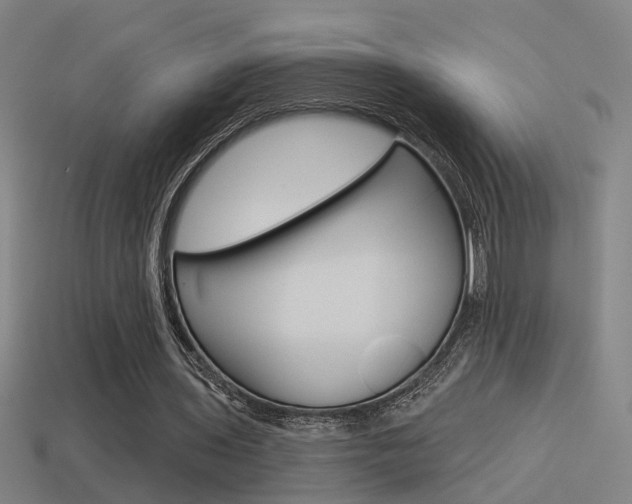 X0000114510435200910190932