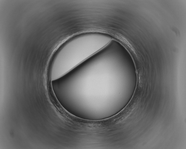 X0000114510436200910190932