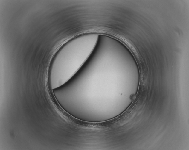 X0000114510437200910190932