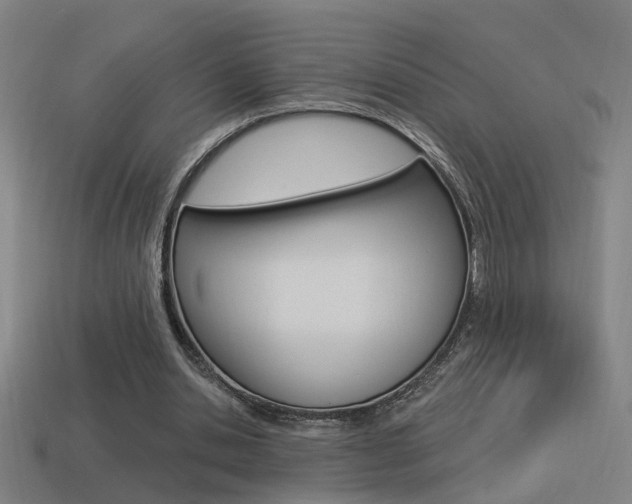 X0000114510438200910190932